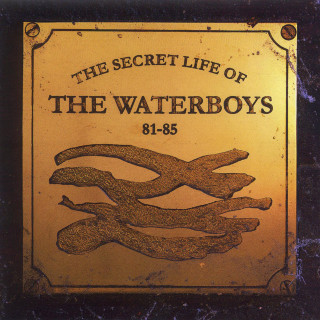 The Waterboys - The Secret Life Of The Waterboys compilation cover