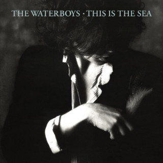 The Waterboys - This Is The Sea album cover