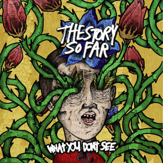 The Story So Far - What You Don't See album cover