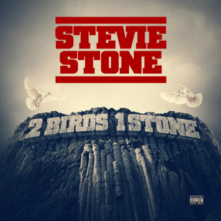 Stevie Stone - 2 Birds, 1 Stone album cover