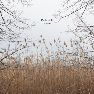 Paula Cole - Raven album cover