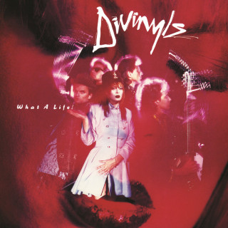 Divinyls - What A Life! album cover