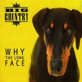 Big Country - Why The Long Face album cover
