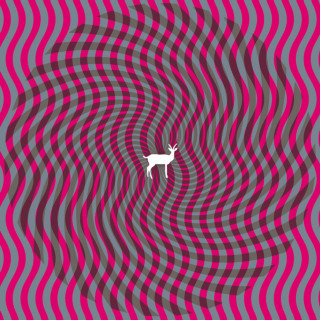 Deerhunter - Cryptograms album cover