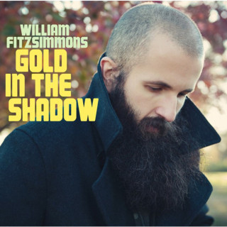 William Fitzsimmons - Gold In The Shadow album cover