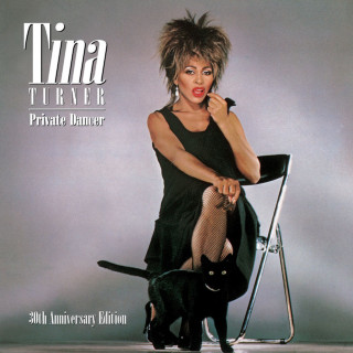 Tina Turner - Private Dancer album cover