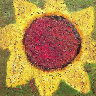 Never Shout Never - Sunflower album cover