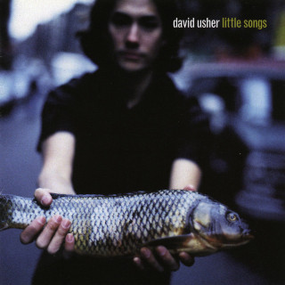 David Usher - Little Songs album cover