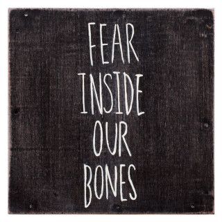 The Almost - Fear Inside Our Bones album cover