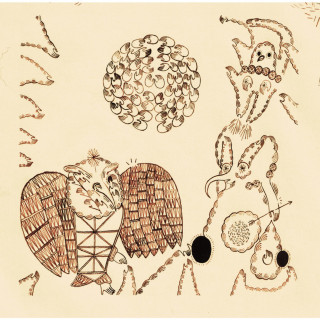 Devendra Banhart - Rejoicing In The Hands album cover