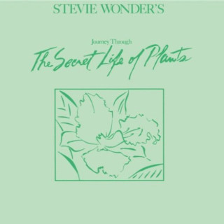 Stevie Wonder - Stevie Wonder's Journey Through The Secret Life Of Plants album cover