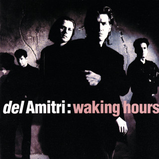 Del Amitri - Waking Hours album cover