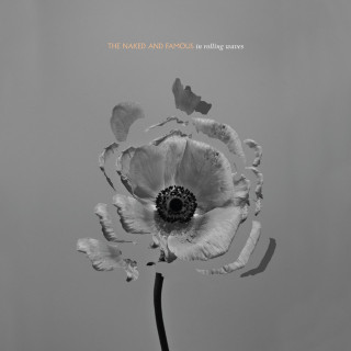 The Naked And Famous - In Rolling Waves album cover