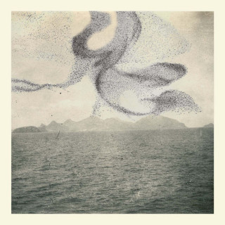 Snow Ghosts - A Small Murmuration album cover