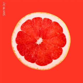 Saves The Day - Saves The Day album cover