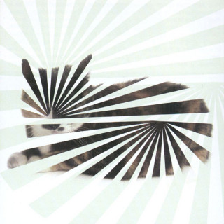 The Blow - Poor Aim: Love Songs album cover