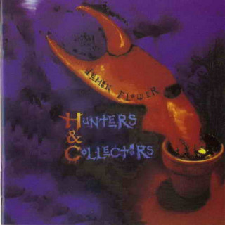 Hunters & Collectors - Demon Flower album cover