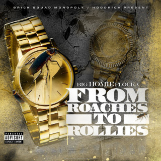 Waka Flocka Flame - From Roaches To Rollies mixtape cover