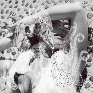 Björk - Vespertine album cover