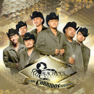 Alacranes Musical - Puros Corridos Venenosos album cover