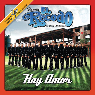Banda El Recodo - Hay Amor album cover