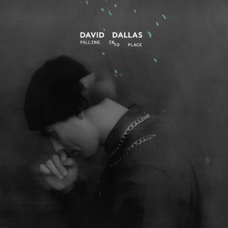 David Dallas - Falling Into Place album cover