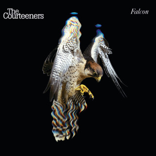 The Courteeners - Falcon album cover
