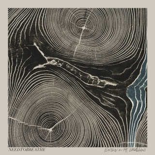 NEEDTOBREATHE - Rivers In The Wasteland album cover