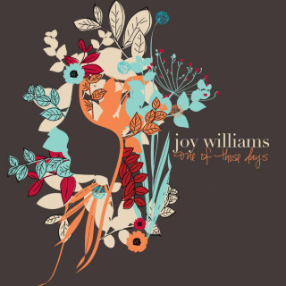 Joy Williams - One Of Those Days EP cover