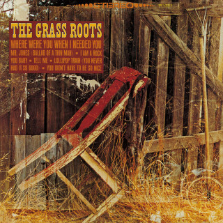 The Grass Roots - Where Were You When I Needed You album cover