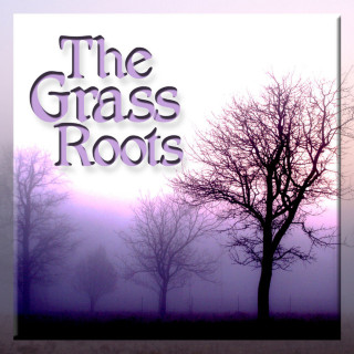 The Grass Roots - The Grass Roots album cover