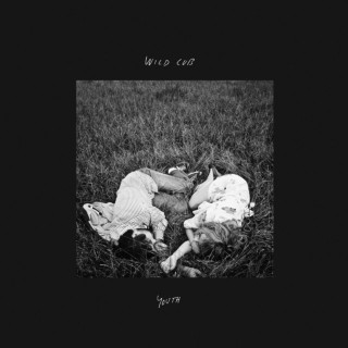 Wild Cub - Youth album cover
