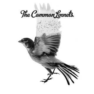 The Common Linnets - The Common Linnets album cover