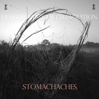 frnkiero andthe cellabration - Stomachaches album cover