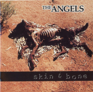 The Angels - Skin & Bone album cover