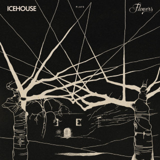 Icehouse - Icehouse album cover