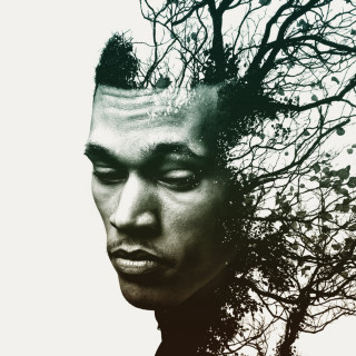 Trip Lee - Rise album cover