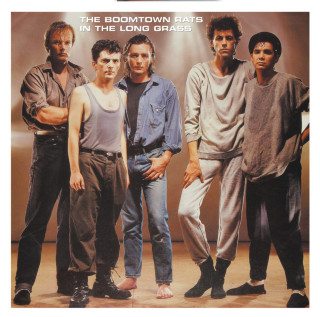 The Boomtown Rats - In The Long Grass album cover