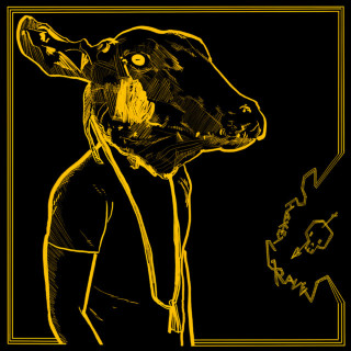 Shakey Graves - Roll The Bones album cover