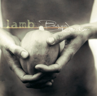 Lamb - Between Darkness And Wonder album cover