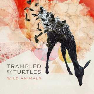 Trampled By Turtles - Wild Animals album cover