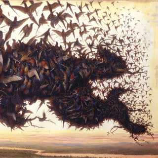 Kiev - Falling Bough Wisdom Teeth album cover