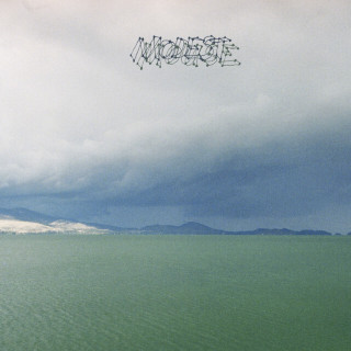 Modest Mouse - The Fruit That Ate Itself EP cover
