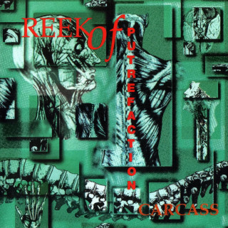 Carcass - Reek Of Putrefaction album cover