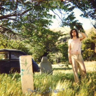 Ariel Pink - The Doldrums album cover
