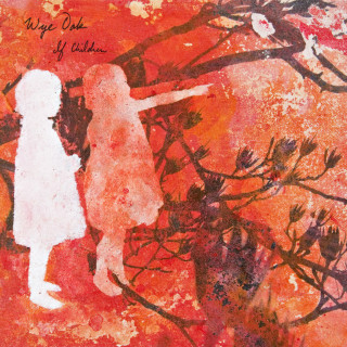 Wye Oak - If Children album cover