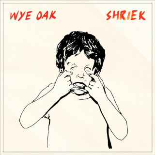 Wye Oak - Shriek album cover