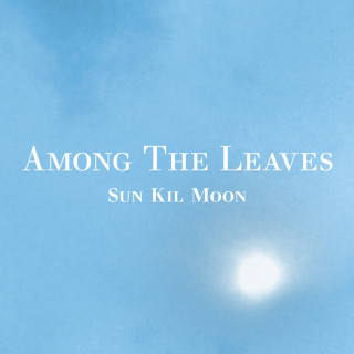 Sun Kil Moon - Among The Leaves album cover