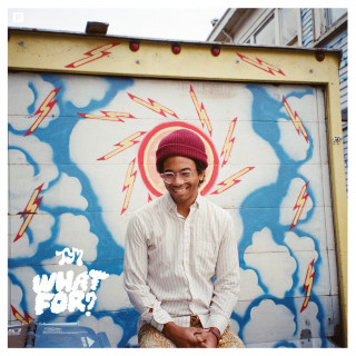 Toro y Moi - What For? album cover