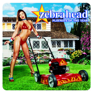 Zebrahead - Playmate Of The Year album cover